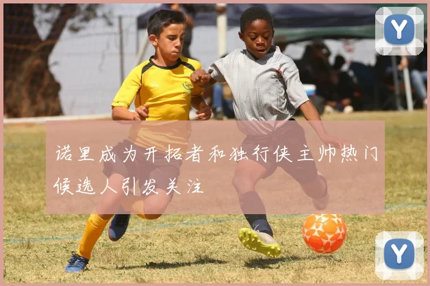 诺里成为开拓者和独行侠主帅热门候选人引发关注
