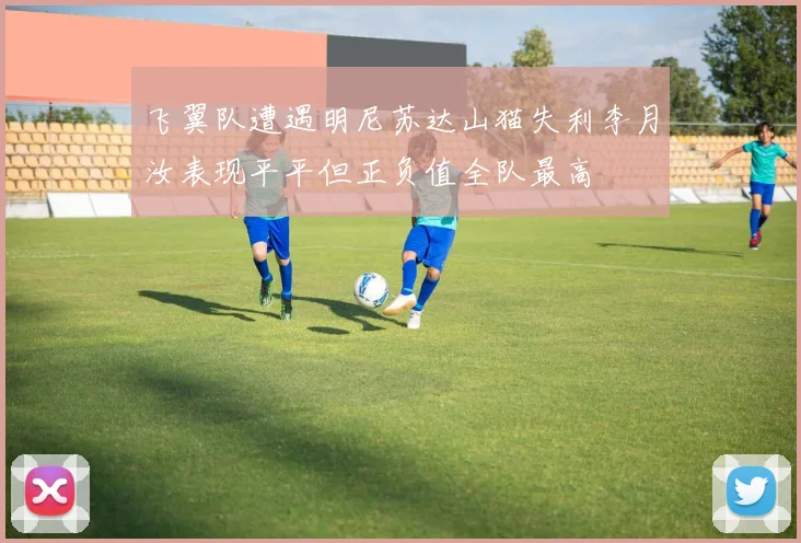 飞翼队遭遇明尼苏达山猫失利李月汝表现平平但正负值全队最高
